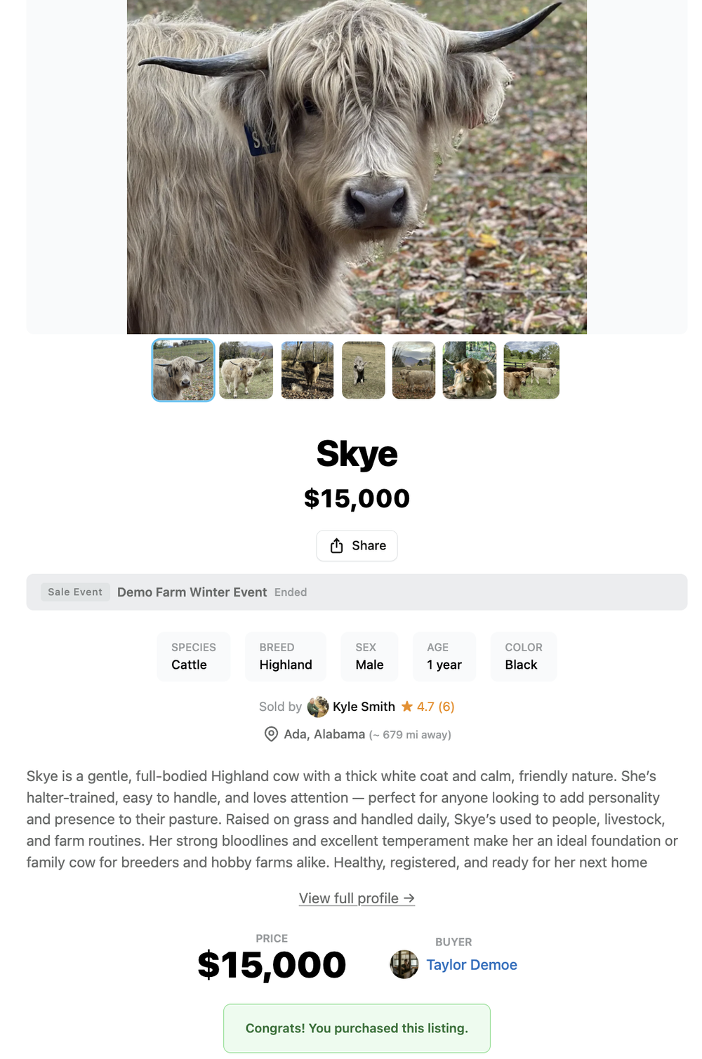 Auction Donk, photo 8