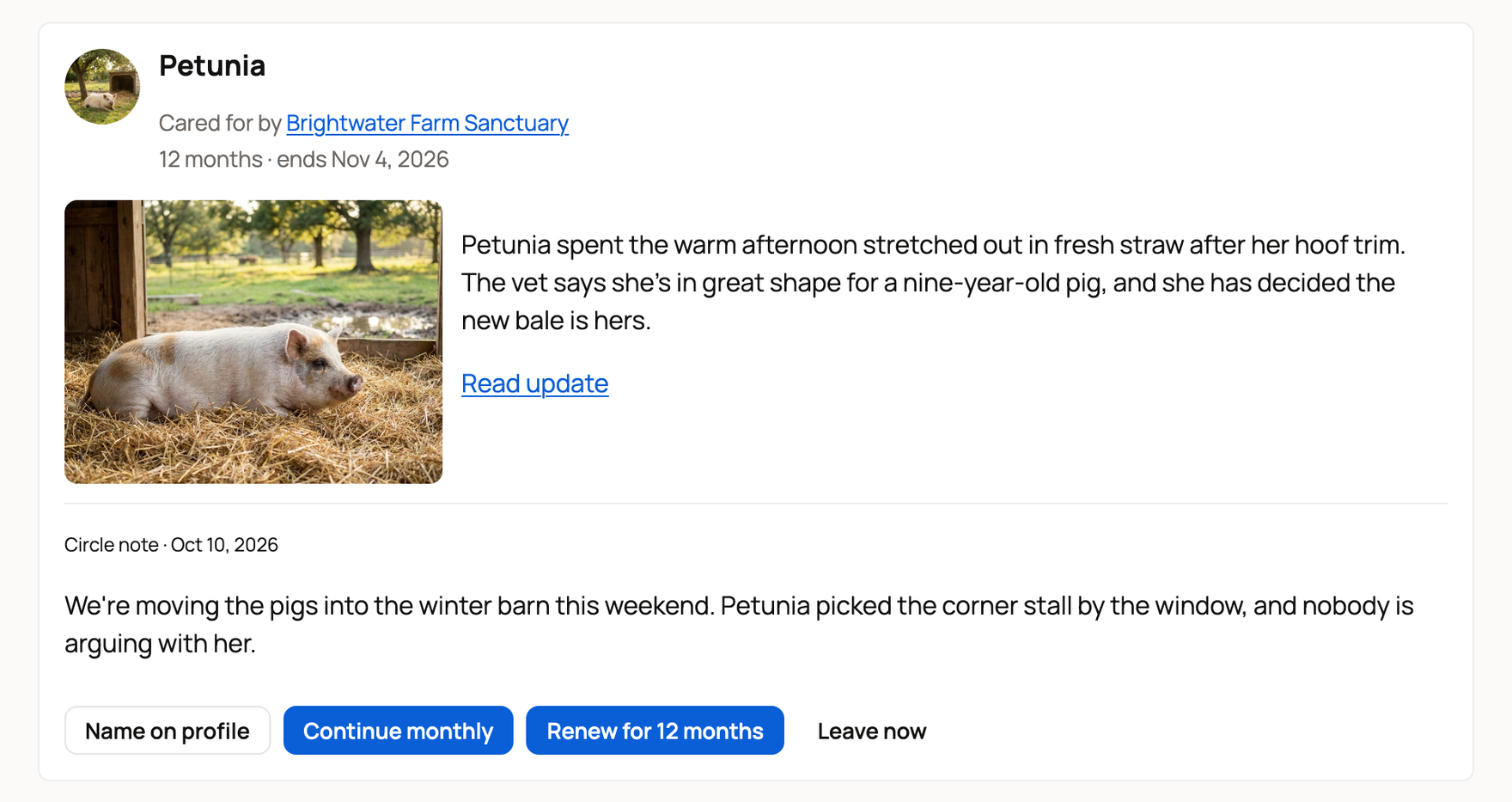 Petunia's 12-month card ending Nov 4, 2026, with Continue monthly, Renew for 12 months and Leave now buttons