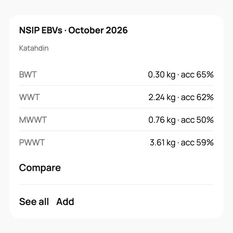 NSIP EBVs October 2026 box on a Katahdin ram profile with four traits and Compare, See all and Add