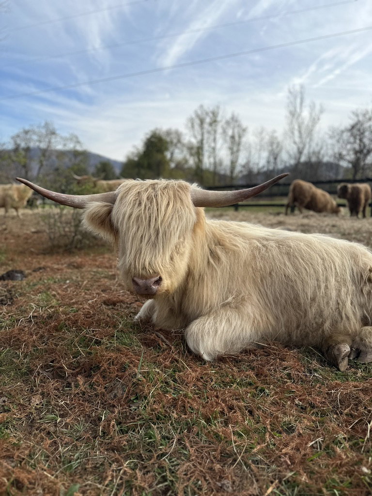 Konrad, photo 5