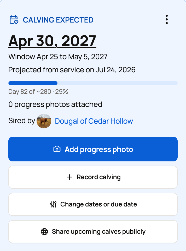 Mairi's pregnancy card on a phone with Add progress photo, Record calving, Change dates or due date and Share upcoming calves publicly