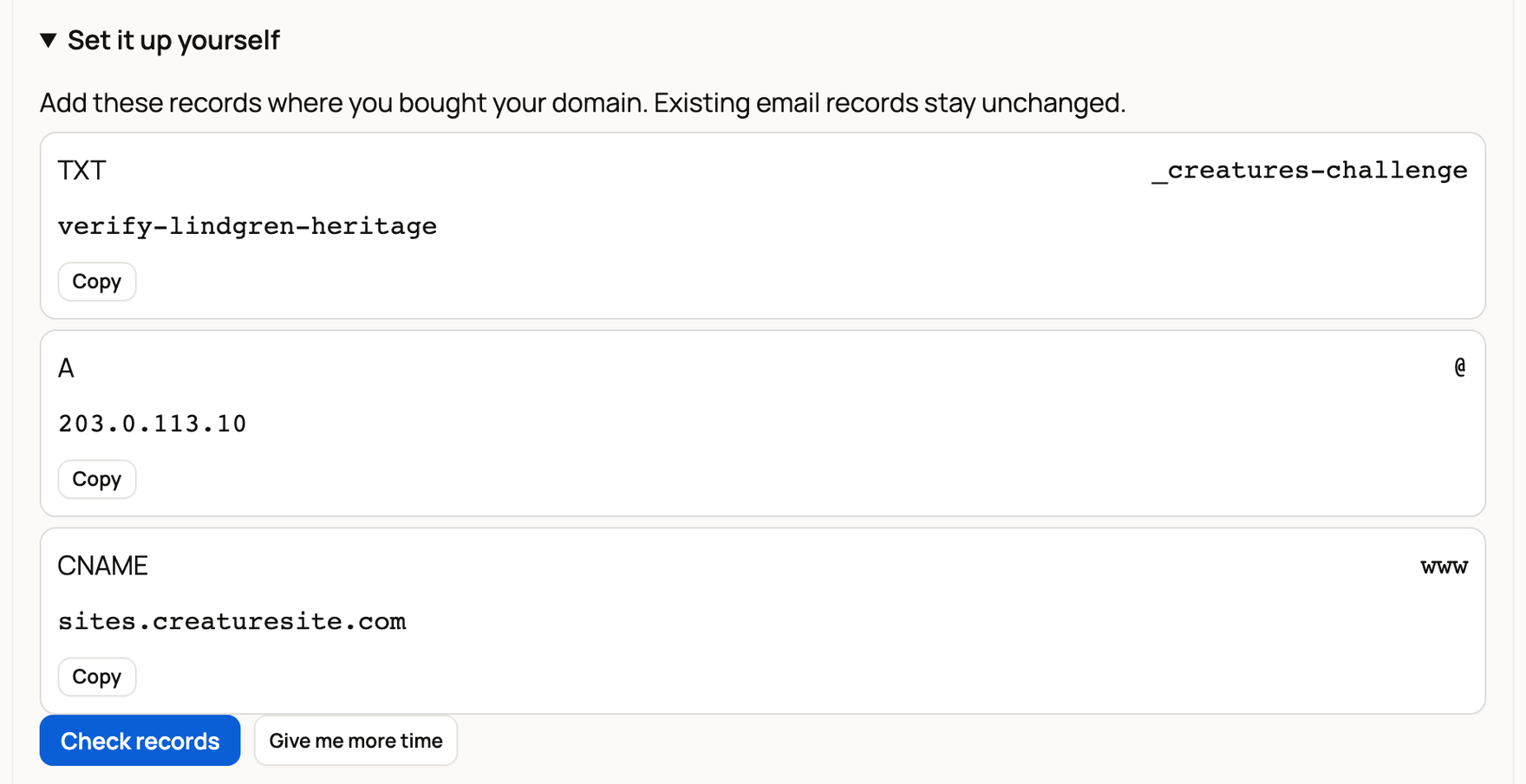 Manual domain setup listing the DNS records to add, each with a Copy button, above Check records and Give me more time