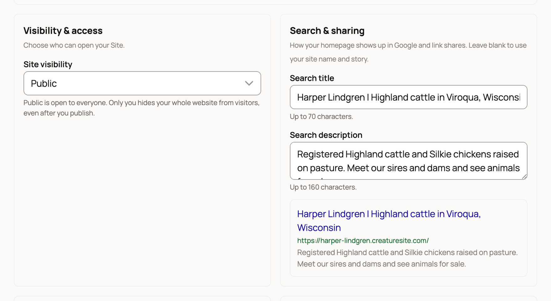 Site visibility set to Public beside Search title, Search description and a Google-style preview