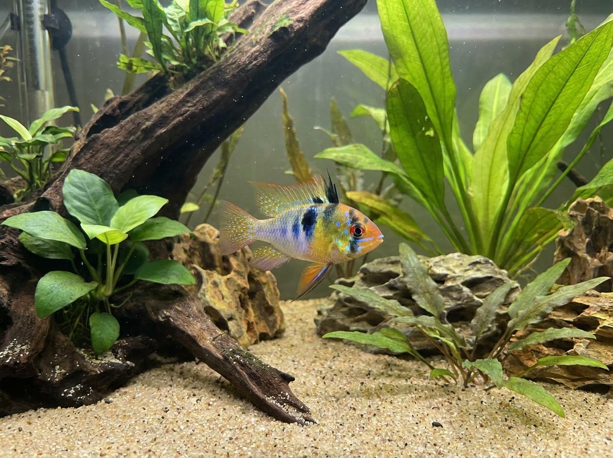Mixed Variety