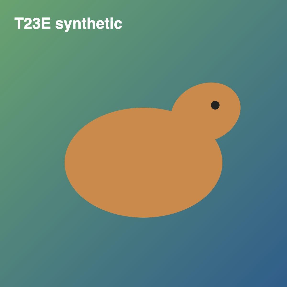 T23E Card bb36c05