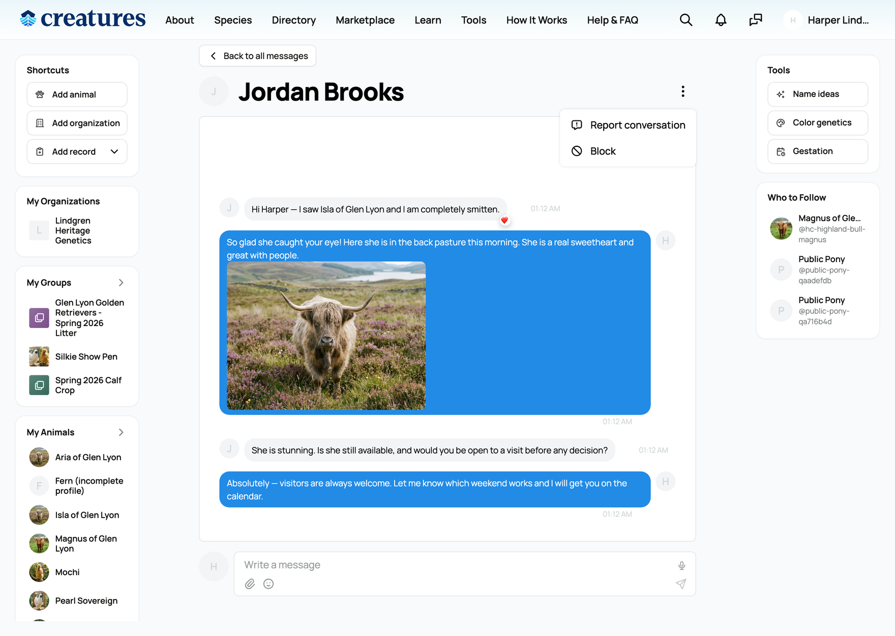 A conversation with the top-right actions menu open, showing Block and Report