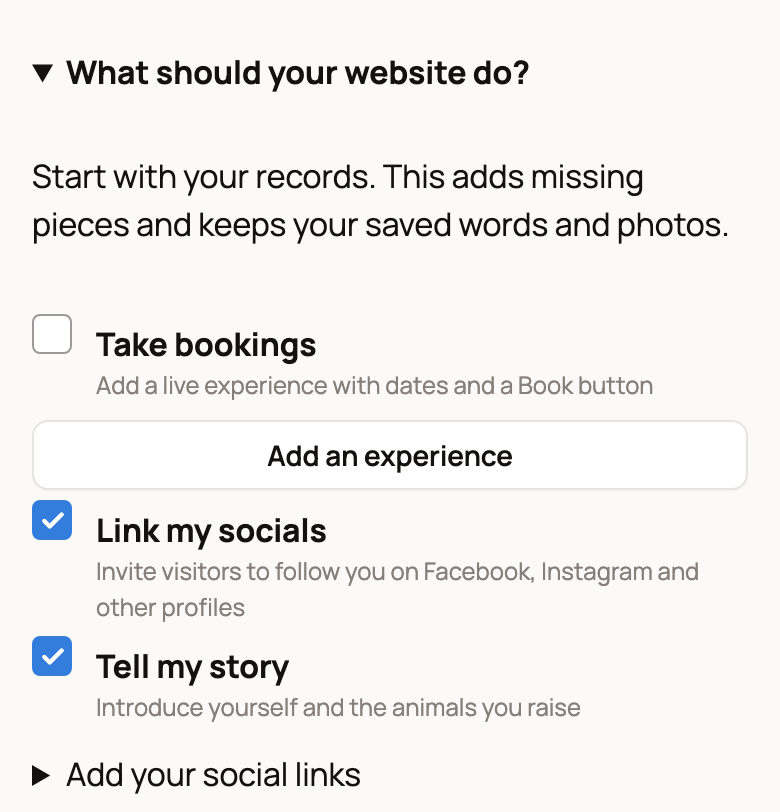 What should your website do? with Take bookings, Link my socials and Tell my story goals, and an Add an experience button
