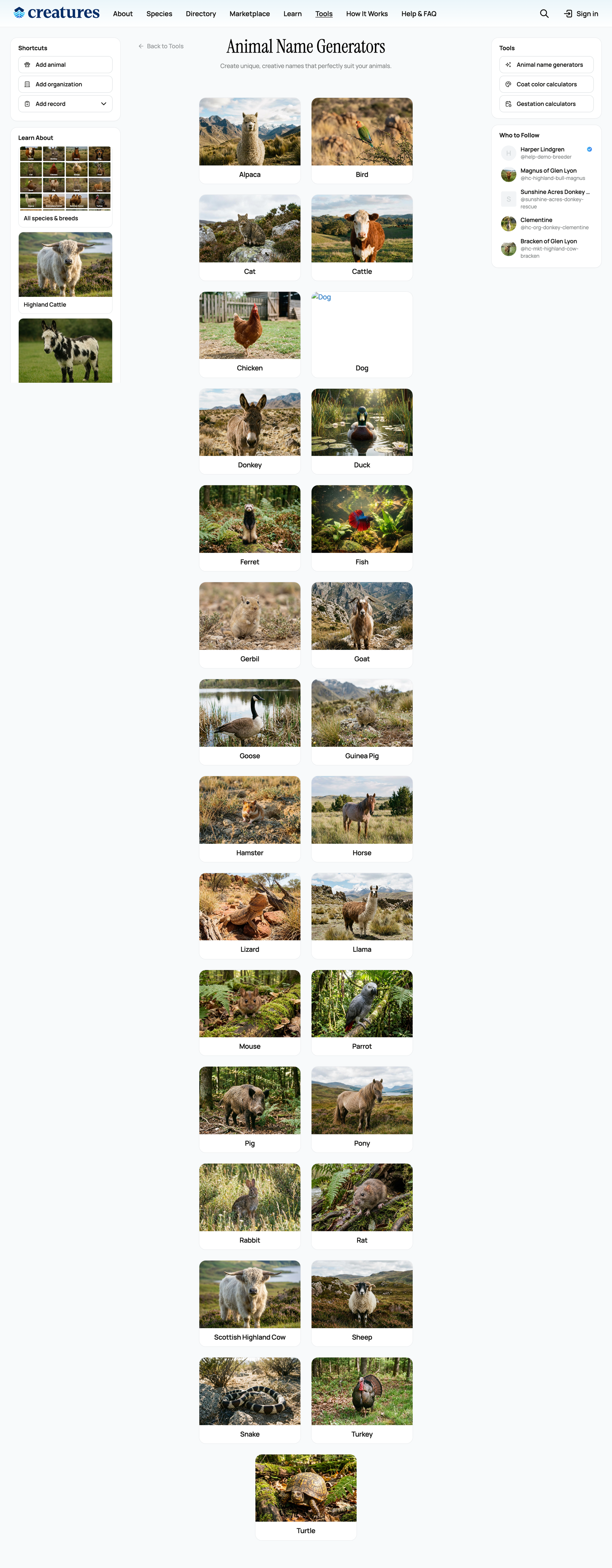 The animal name generator species grid