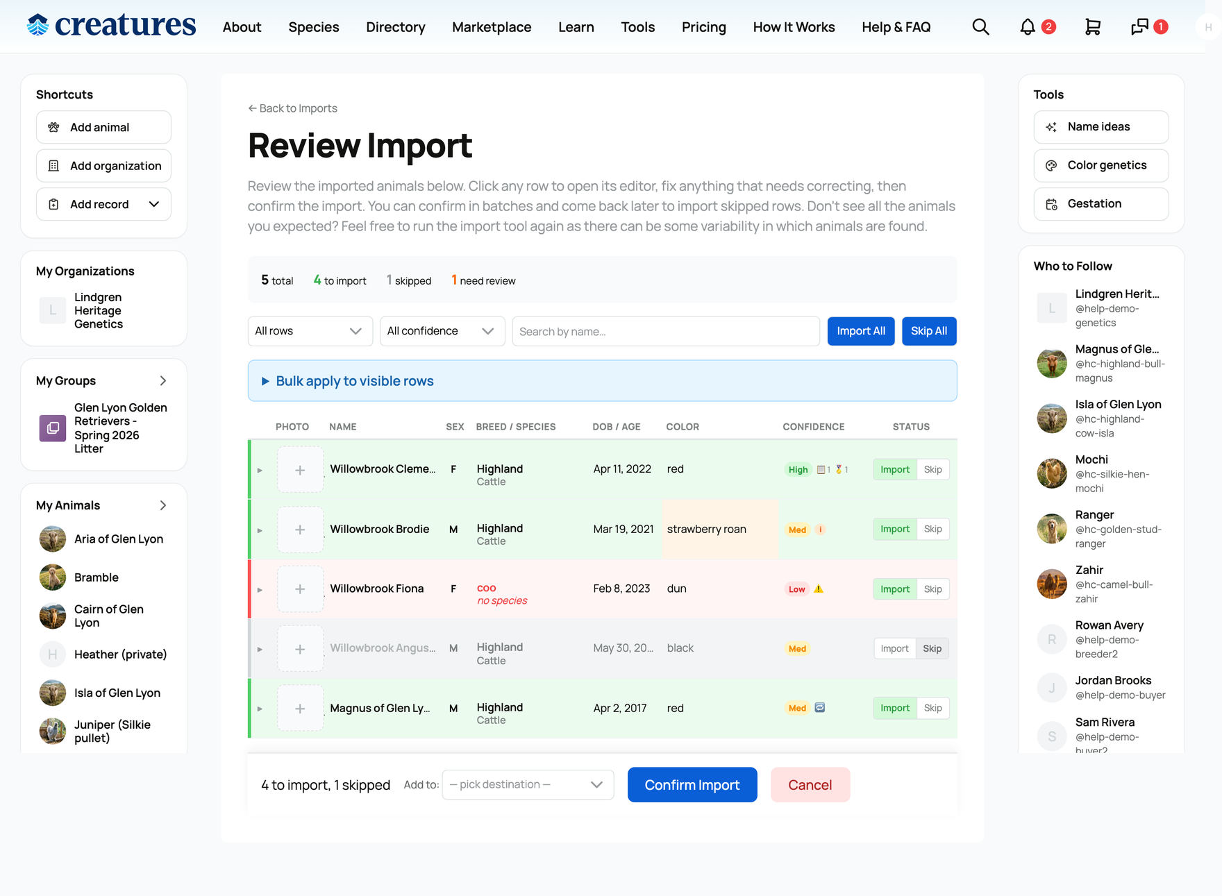The import review table with a mix of states: will import, need review, and skipped