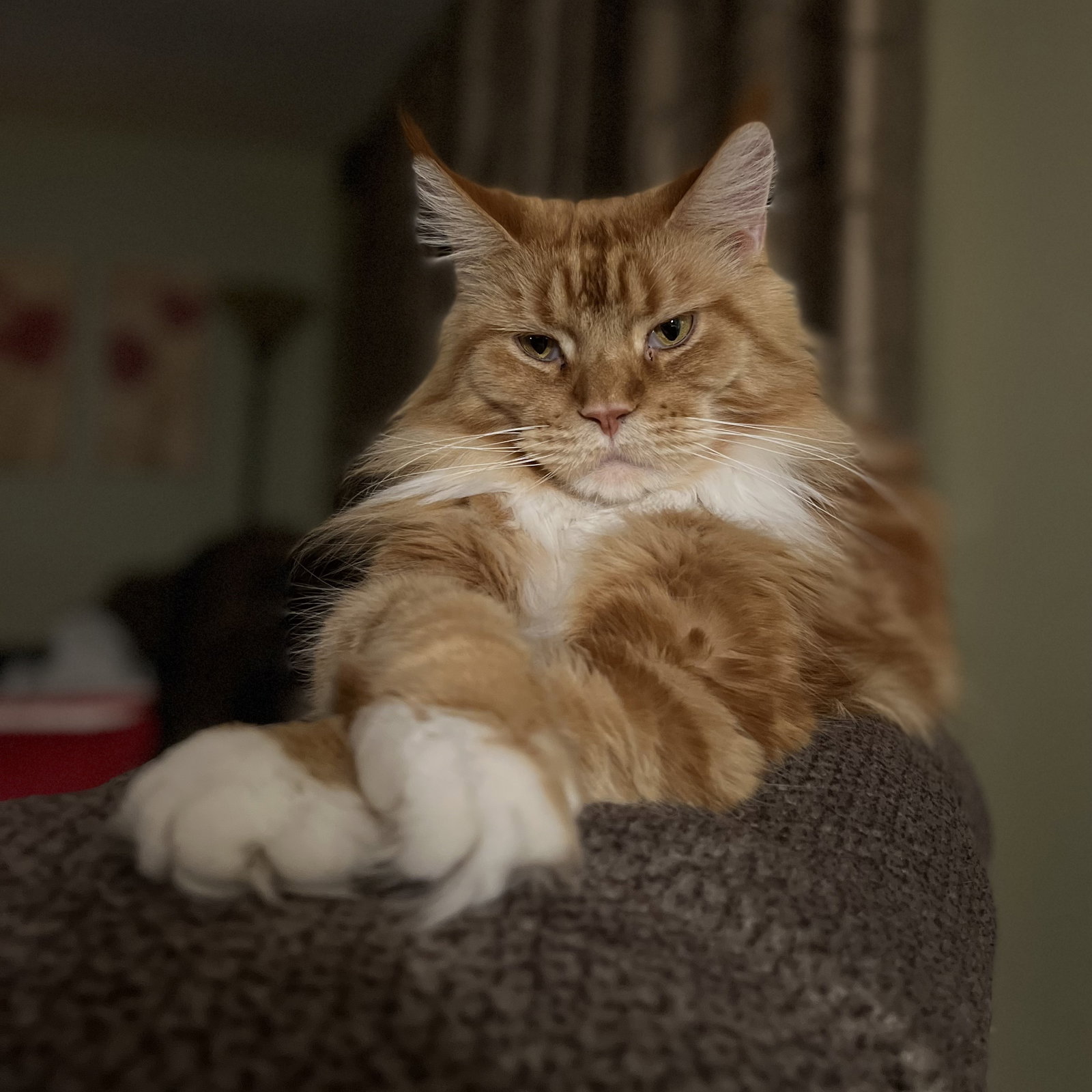 Mia