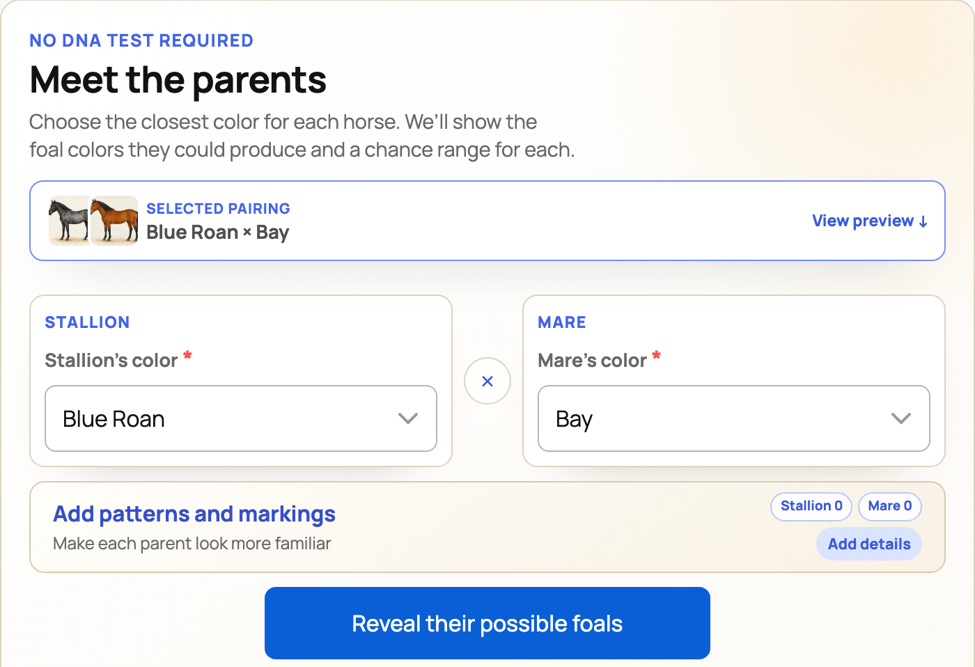 Horse coat calculator appearance controls for parent colors and optional pattern details