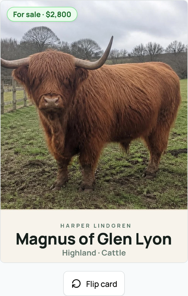 Digital Creature Card for Magnus of Glen Lyon with the Flip card control