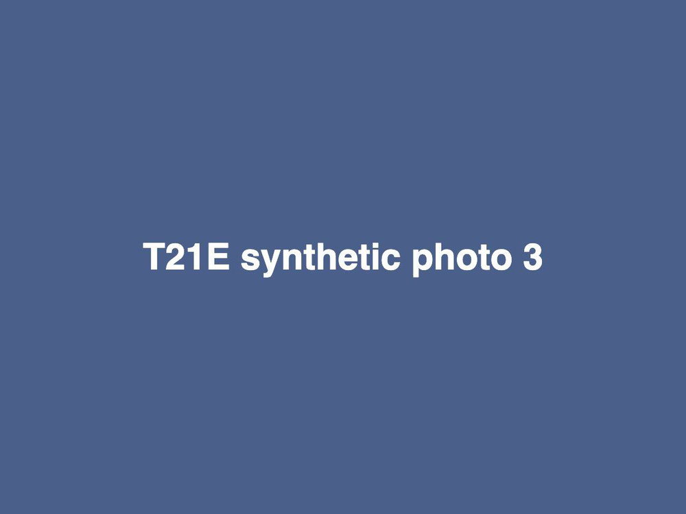 T21E Silkie Sale, photo 3