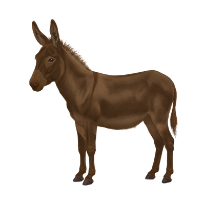 Test profile picture