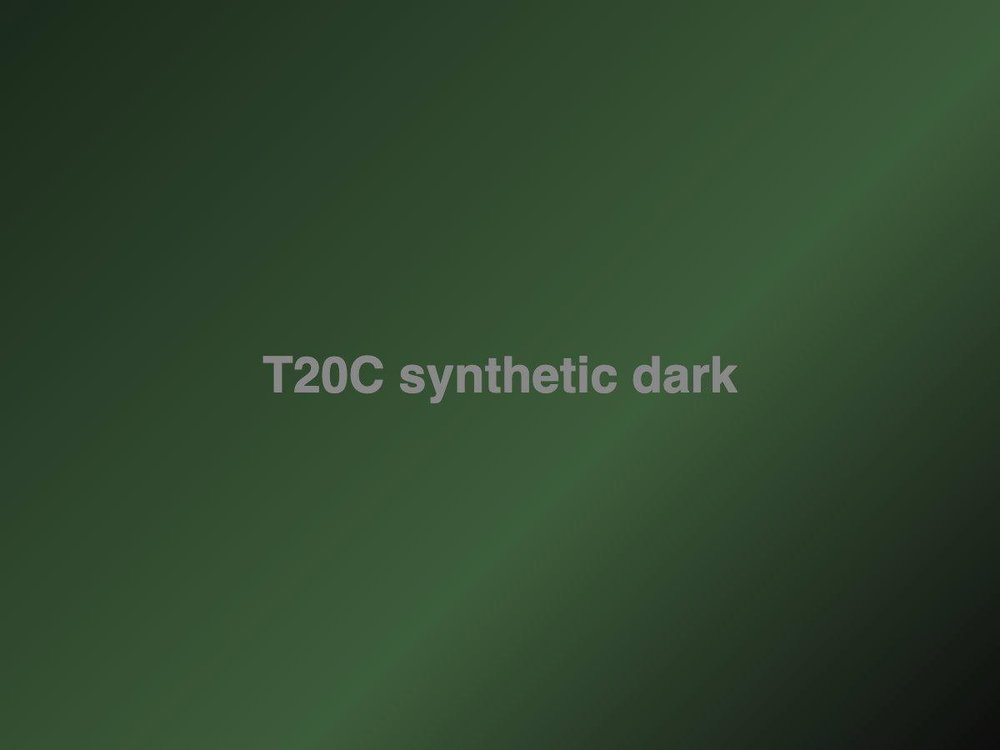 T20C Marketa, photo 3