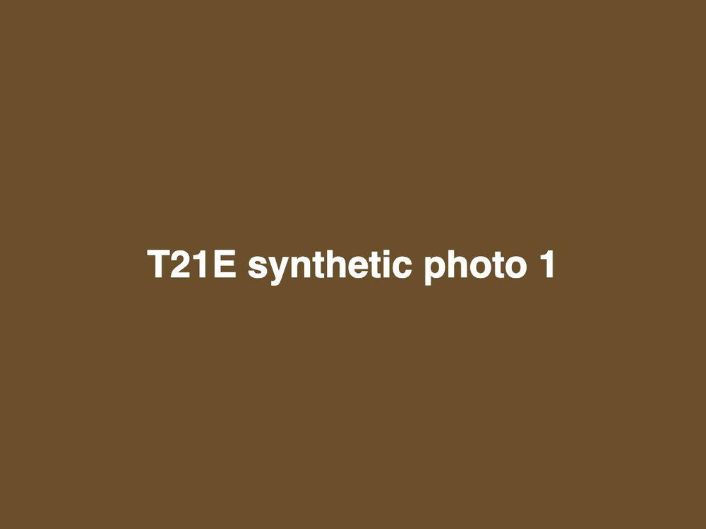 T21E Sheltie Sale, photo 1