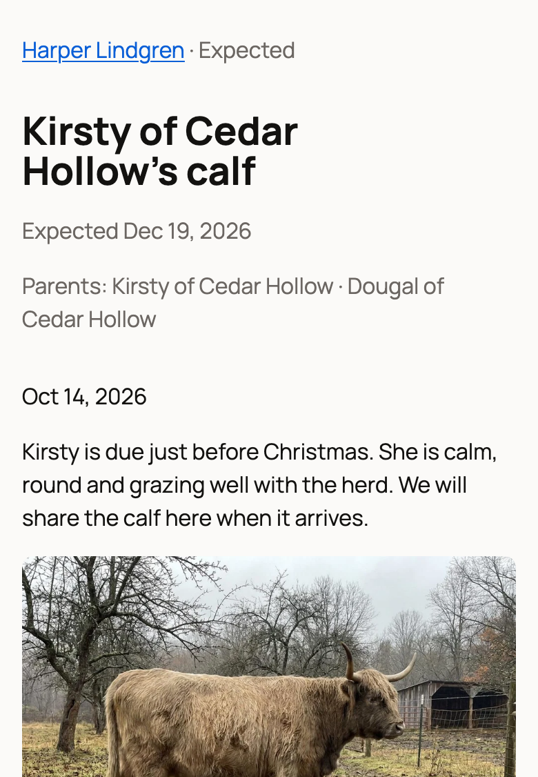 Kirsty's public calf page with the expected date, both parents and the latest update