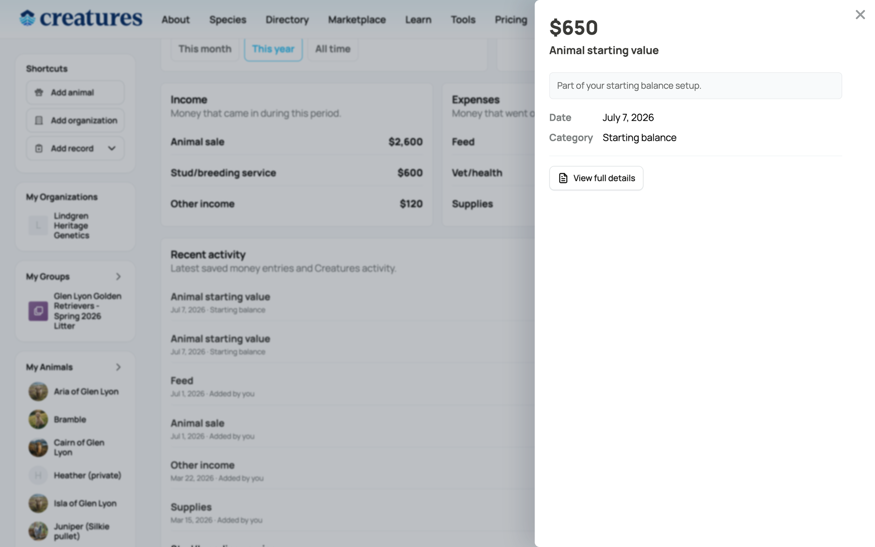 Opening an activity entry's detail panel