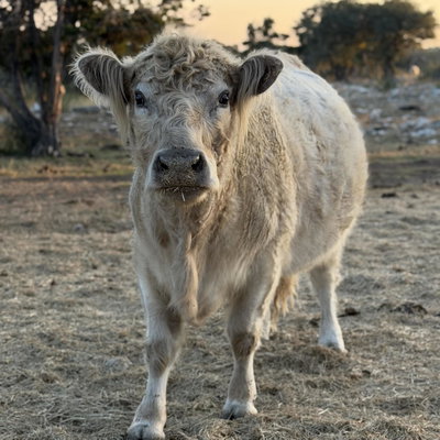 Faith profile picture