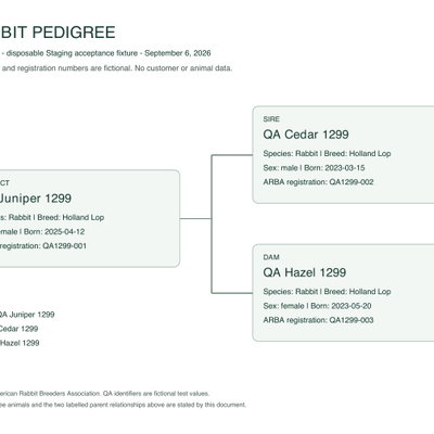 Postrelease PDF UI QA profile picture