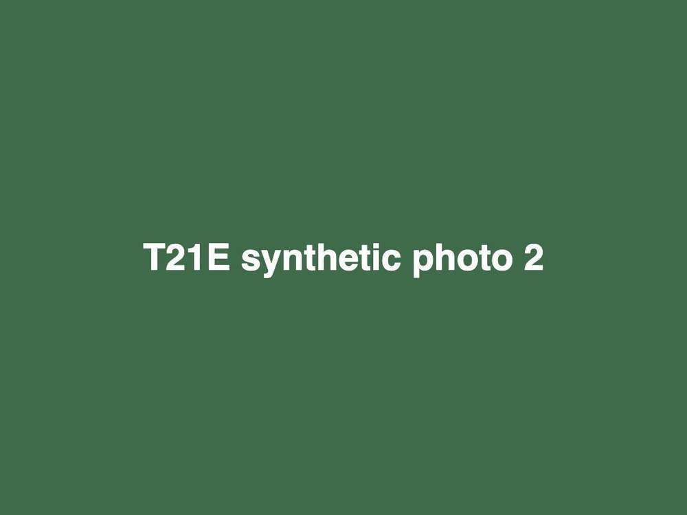 T21E Sheltie Sale, photo 2