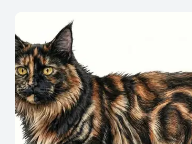 Test122