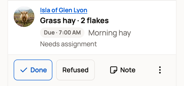 Isla's morning hay on Today with Done and Refused
