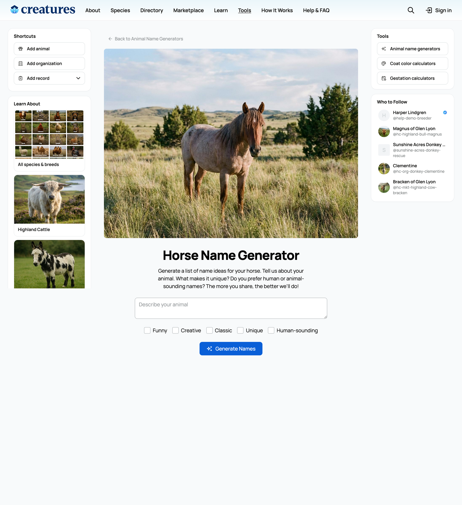 The name generator form: a description box and style checkboxes