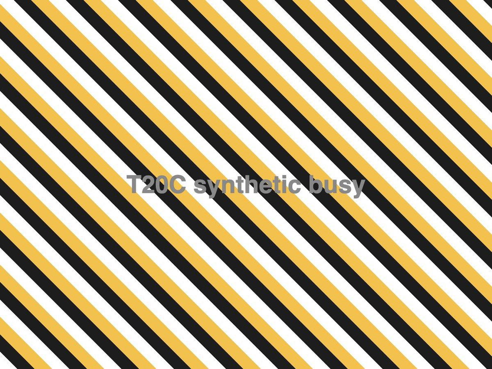 T20C Marketa, photo 2