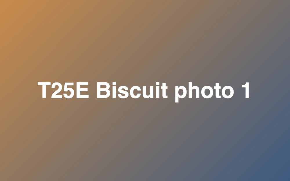 T25E Biscuit