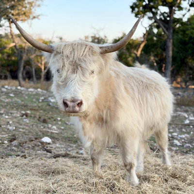 Sadie profile picture