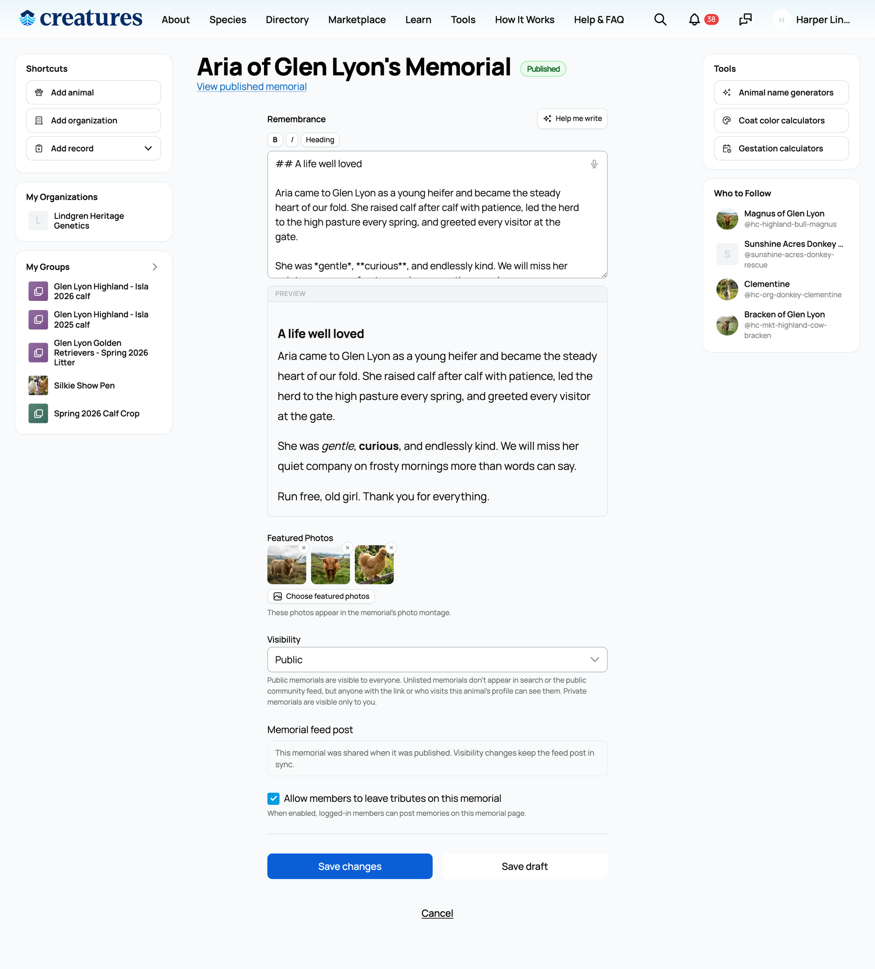 The memorial editor: remembrance, featured photos, visibility, and tributes