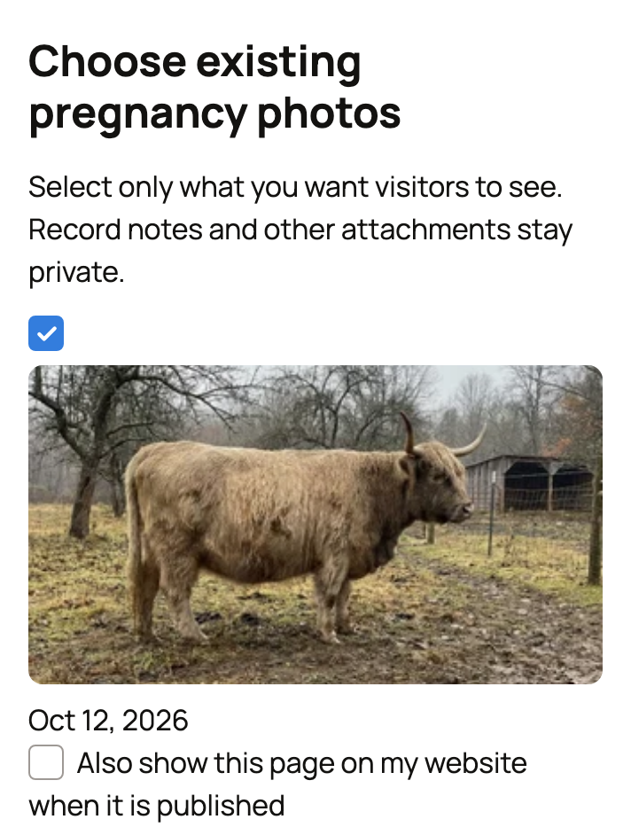 Choose existing pregnancy photos with Kirsty's Oct 12 photo ticked, and the option to also show the page on your website