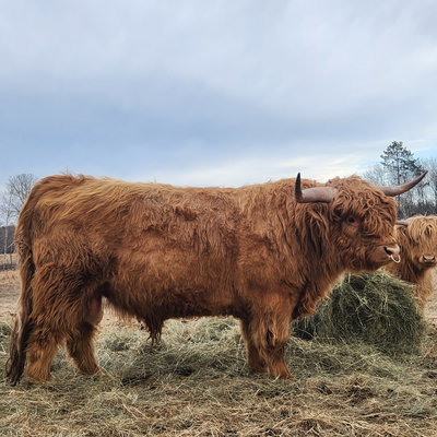 Semmler Farm profile picture
