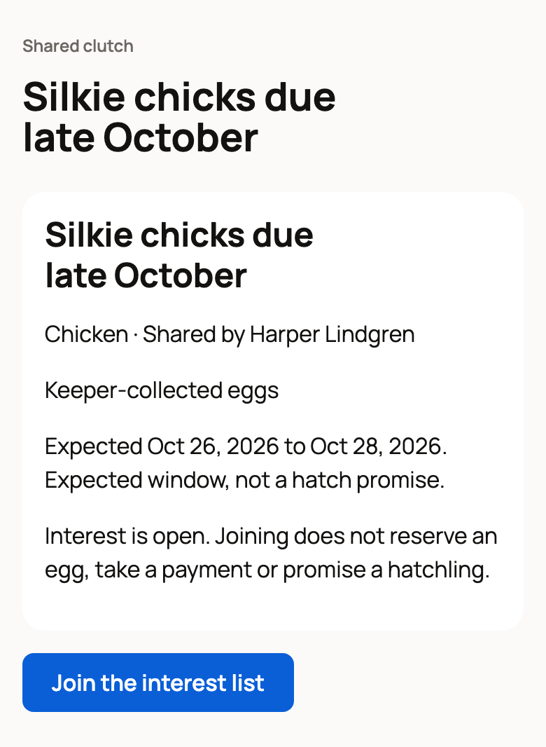 Shared clutch page for Silkie chicks due late October with Join the interest list