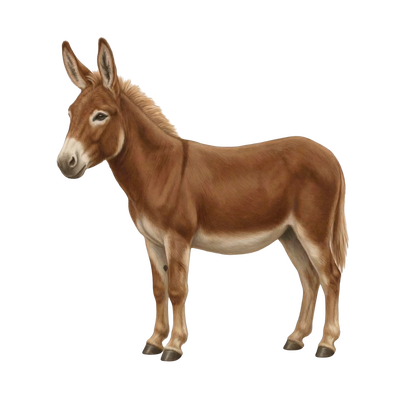 Donk2312313 profile picture