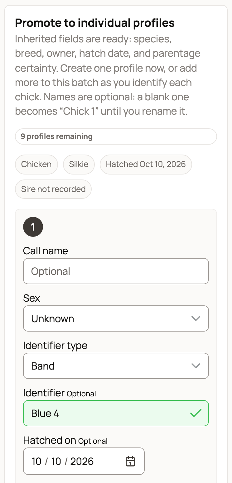 First chick profile with Sex Unknown, a Band identifier of Blue 4 and Hatched on Oct 10, 2026