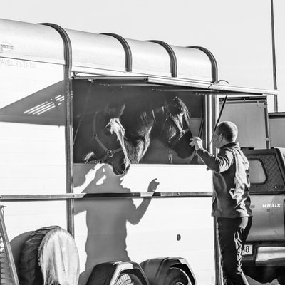 Josh profile picture