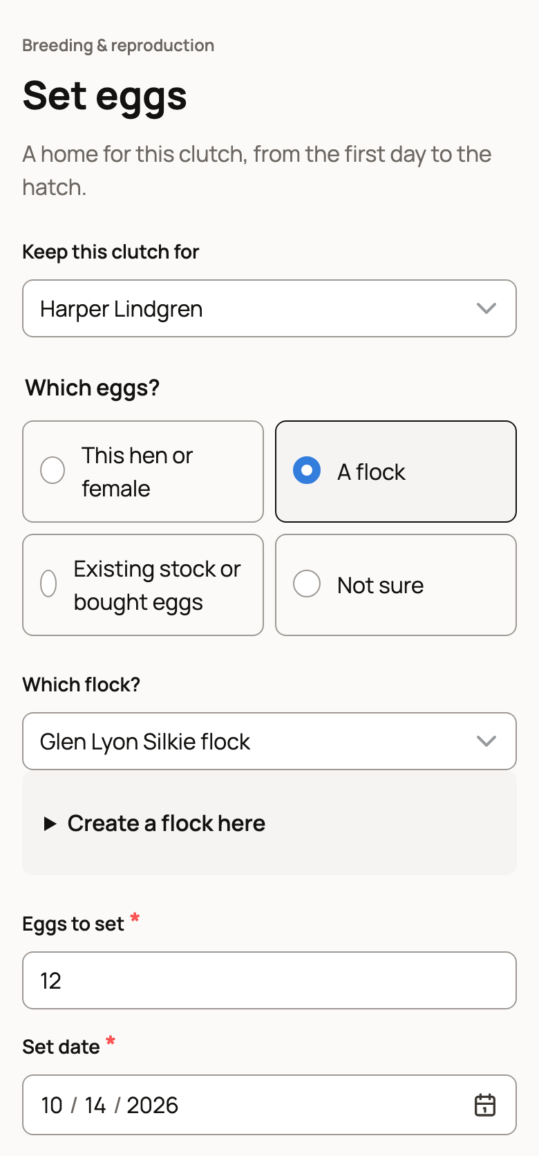 Set eggs with A flock and Glen Lyon Silkie flock chosen, 12 eggs and today's date