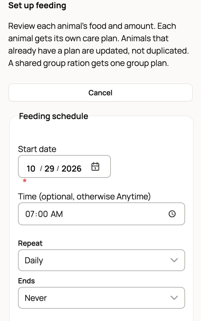 Set up feeding with a daily 7:00 AM schedule
