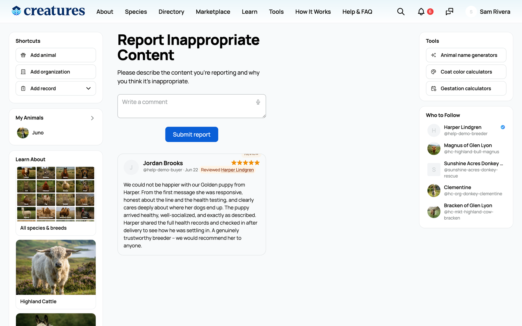 The report-a-review form