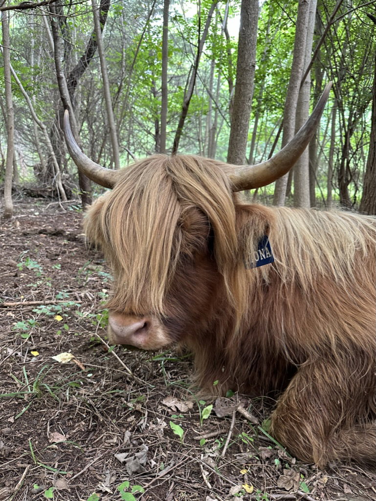 Fiona, photo 4