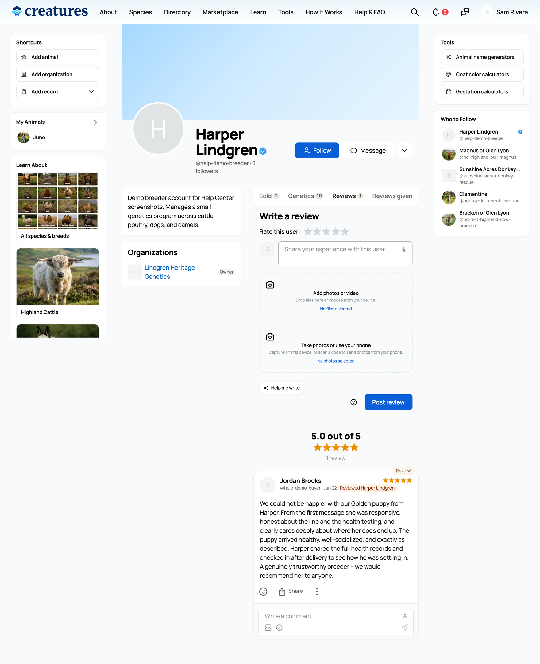 The free-form review composer on a profile's Reviews tab