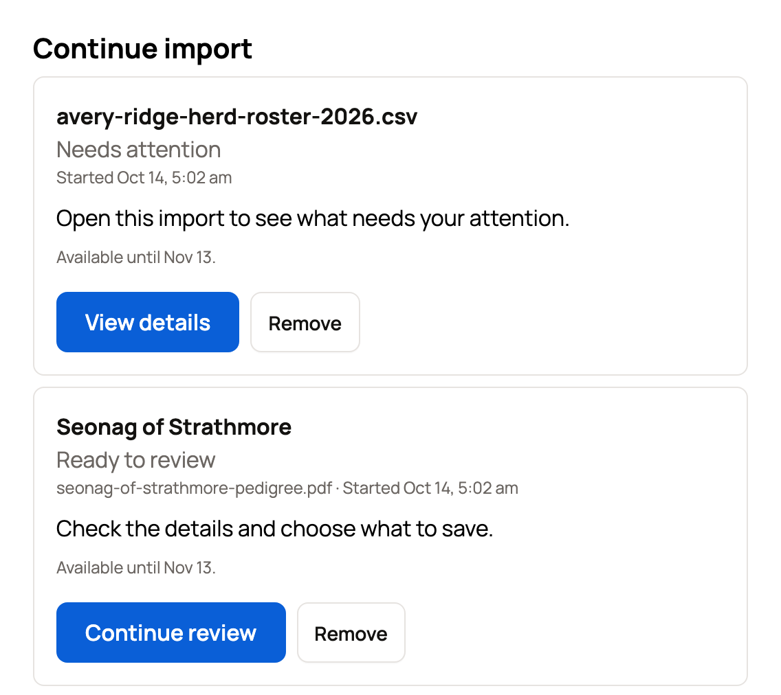 Continue import cards for a spreadsheet that needs attention and Seonag of Strathmore ready to review