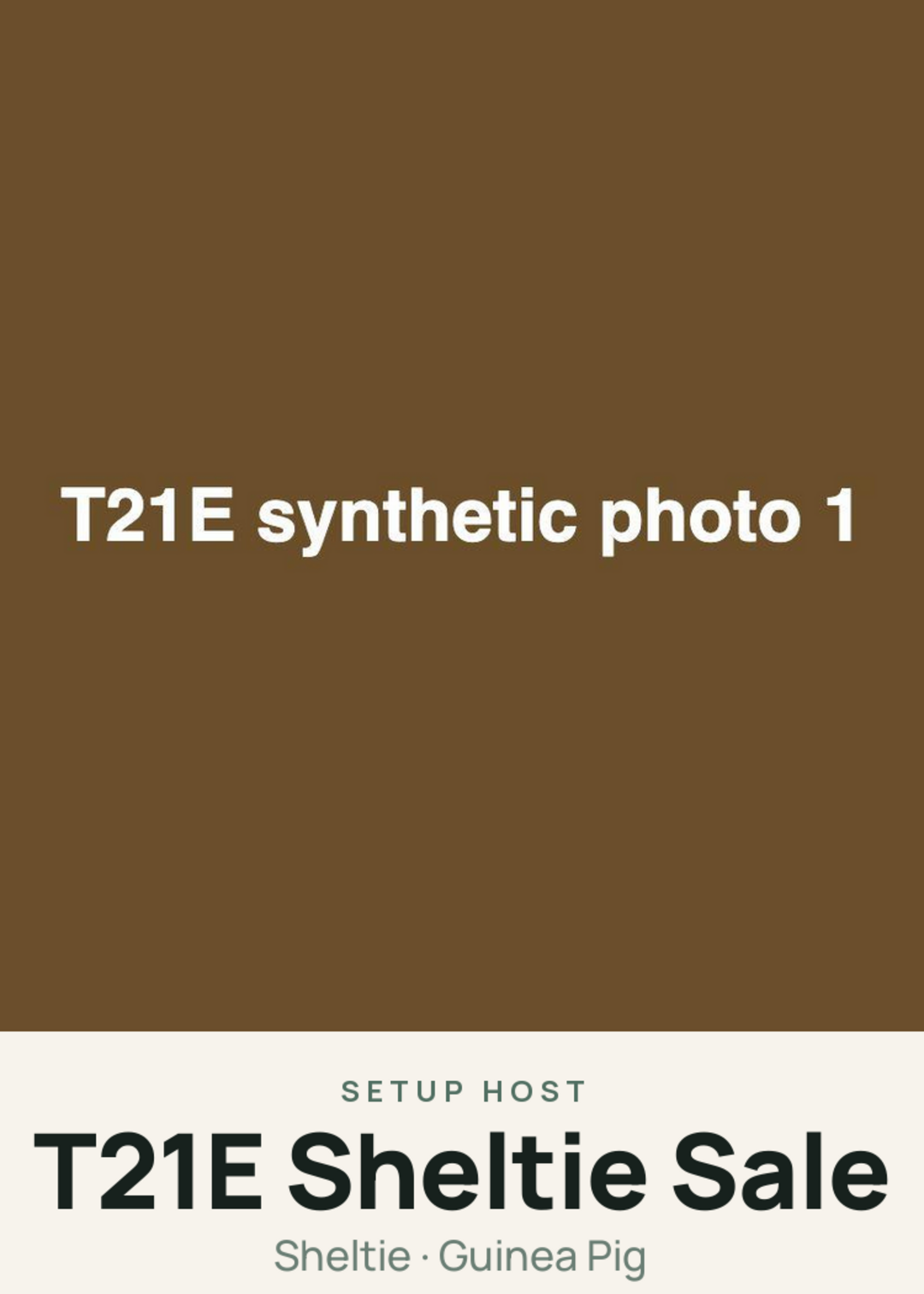 T21E Sheltie Sale Creature Card