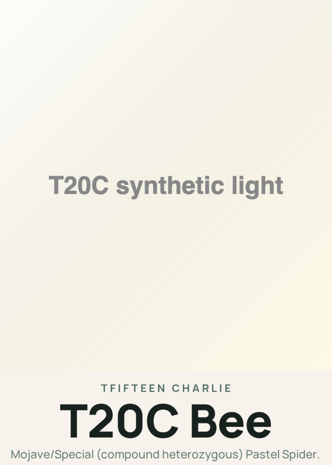 T20C Bee Creature Card