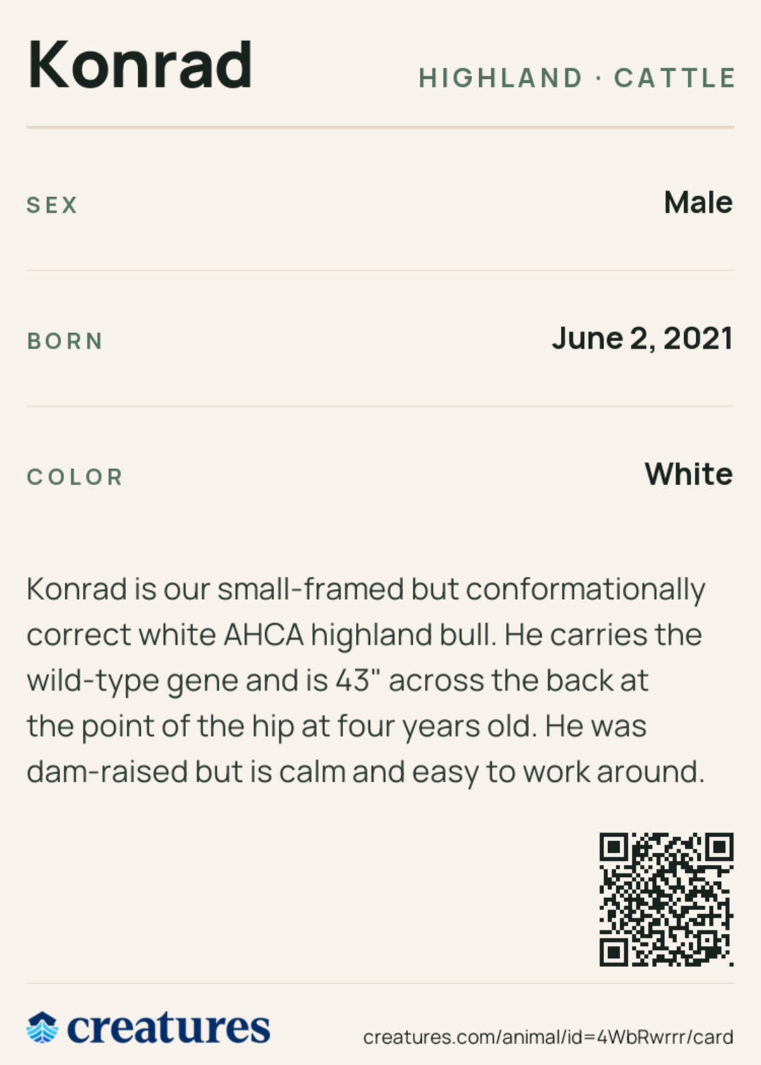 Konrad Creature Card back