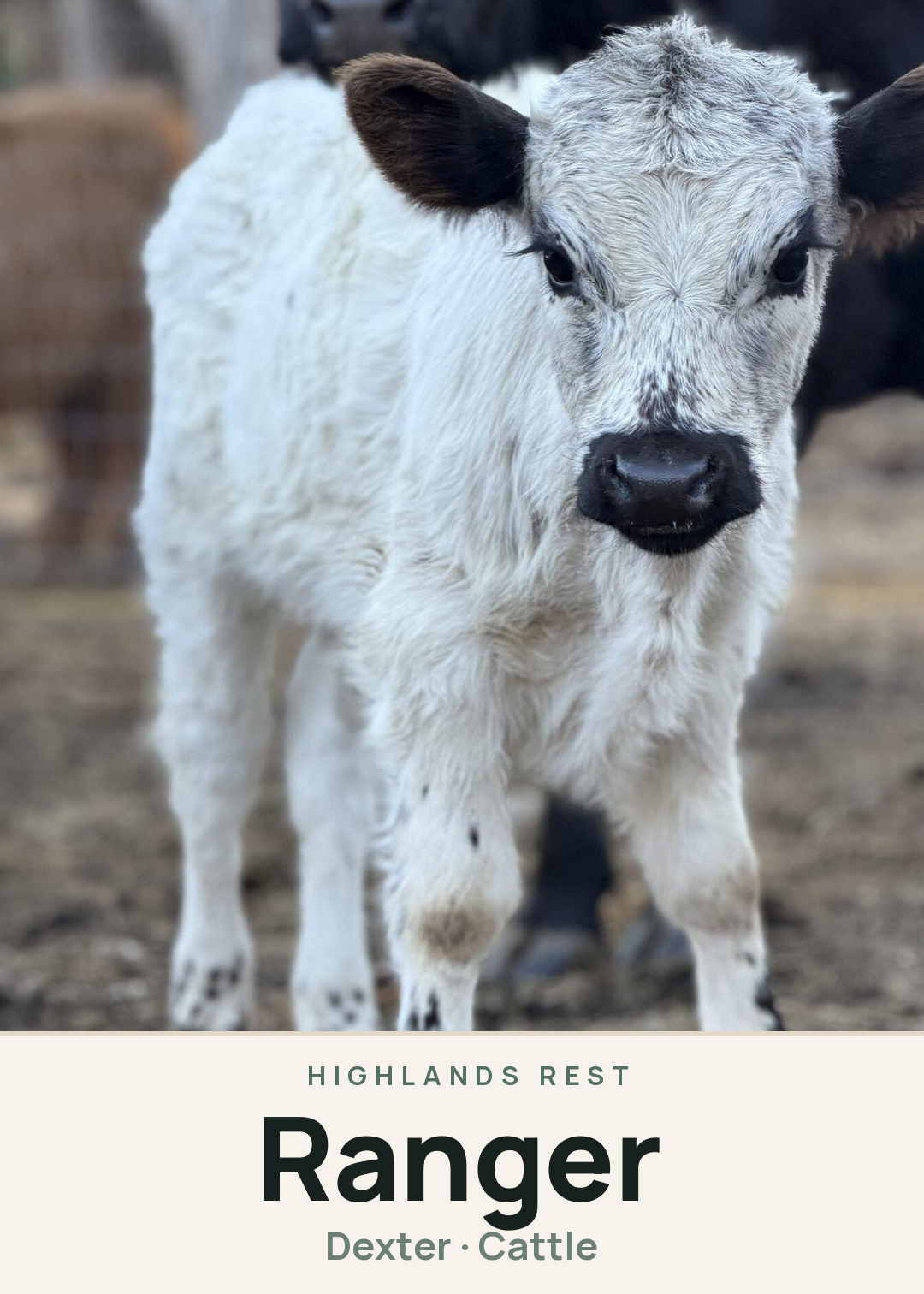 Ranger Creature Card