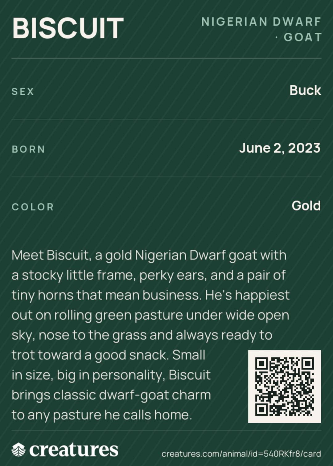 Biscuit Creature Card back