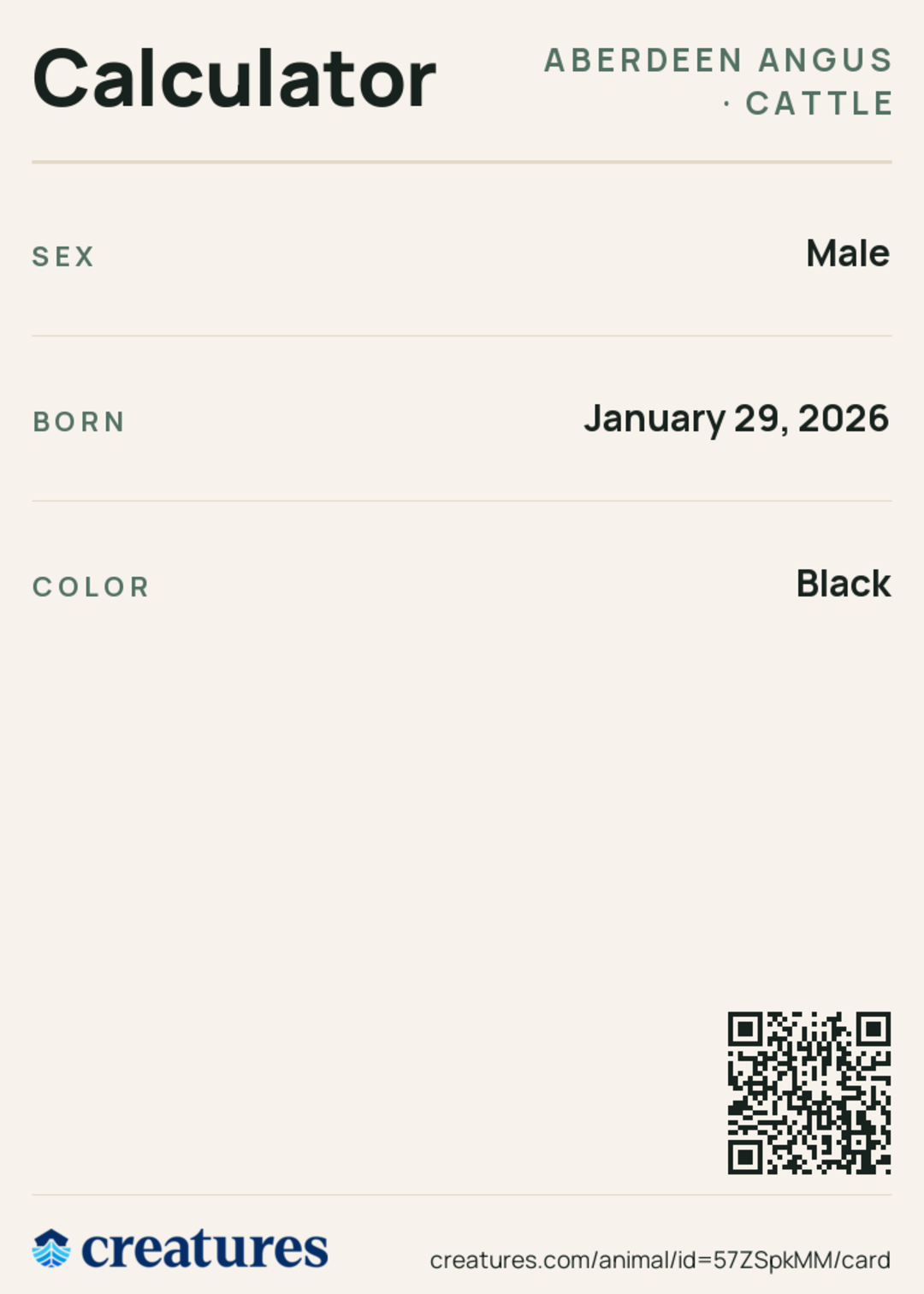 Calculator Creature Card back